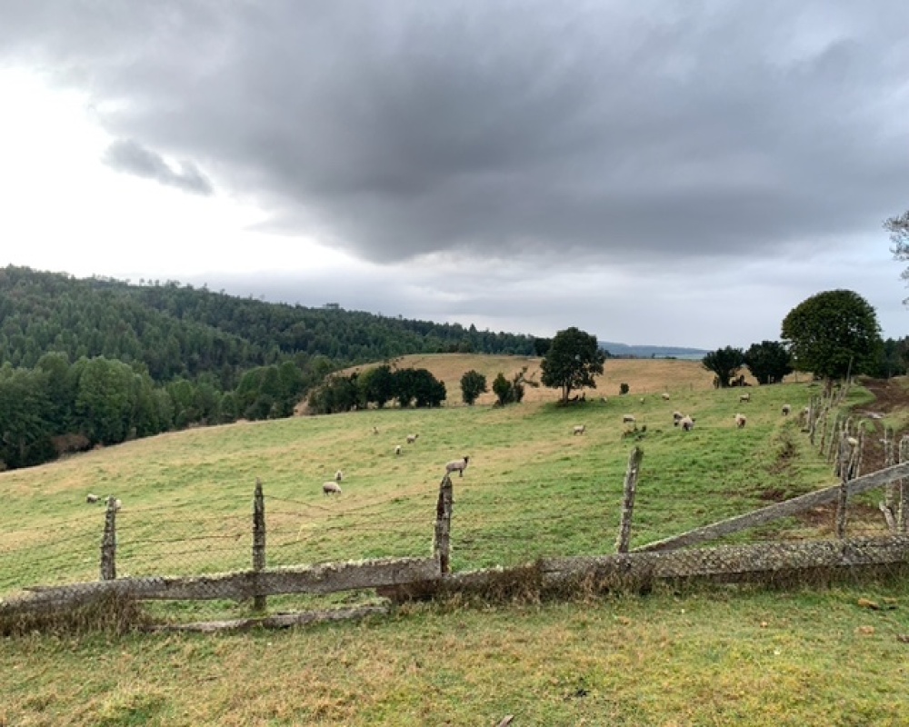 4 Bedrooms Bedrooms, ,2 BathroomsBathrooms,Campos-Ventas,Ventas,1036 4 Bedrooms Bedrooms, ,2 BathroomsBathrooms,Campos-Ventas,Ventas,1036