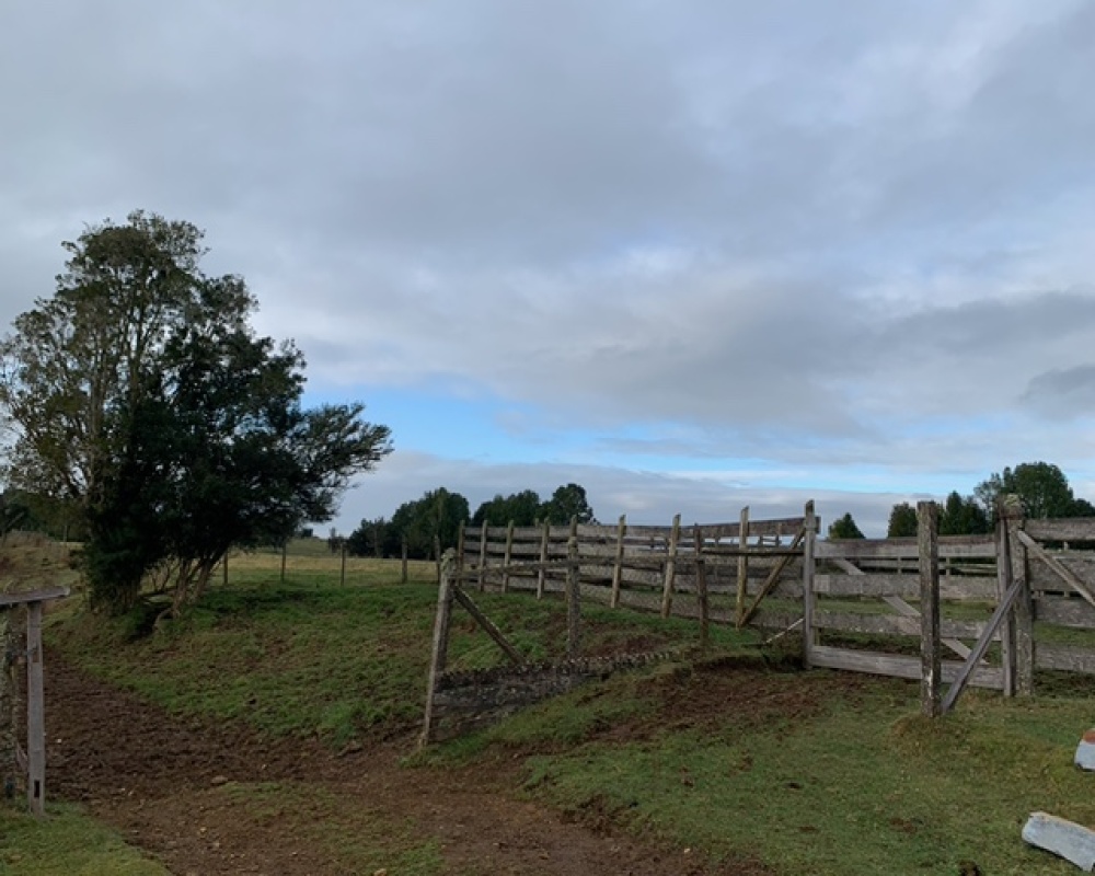 4 Bedrooms Bedrooms, ,2 BathroomsBathrooms,Campos-Ventas,Ventas,1036 4 Bedrooms Bedrooms, ,2 BathroomsBathrooms,Campos-Ventas,Ventas,1036