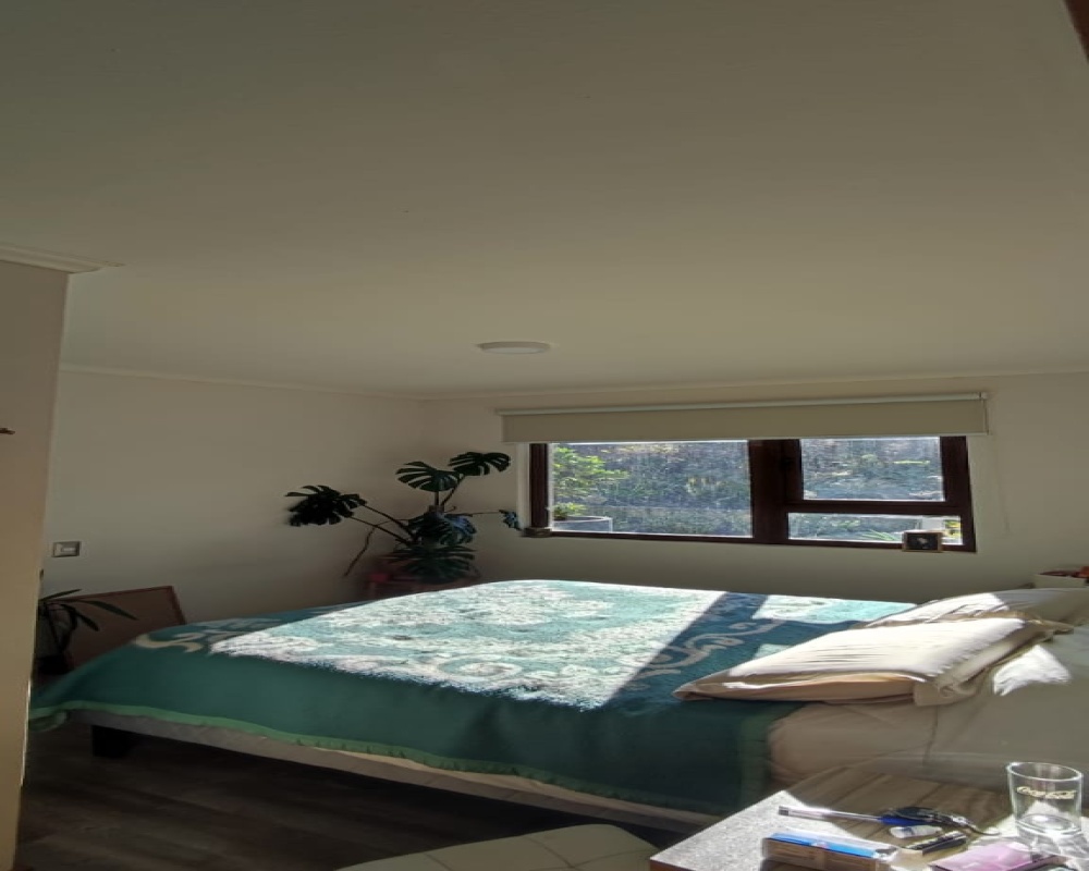 2 Bedrooms Bedrooms, ,Departamentos-Ventas,Ventas,1043 2 Bedrooms Bedrooms, ,Departamentos-Ventas,Ventas,1043